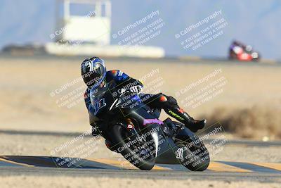 media/Jan-14-2024-SoCal Trackdays (Sun) [[2e55ec21a6]]/Turn 4 Tree of Life (155pm)/